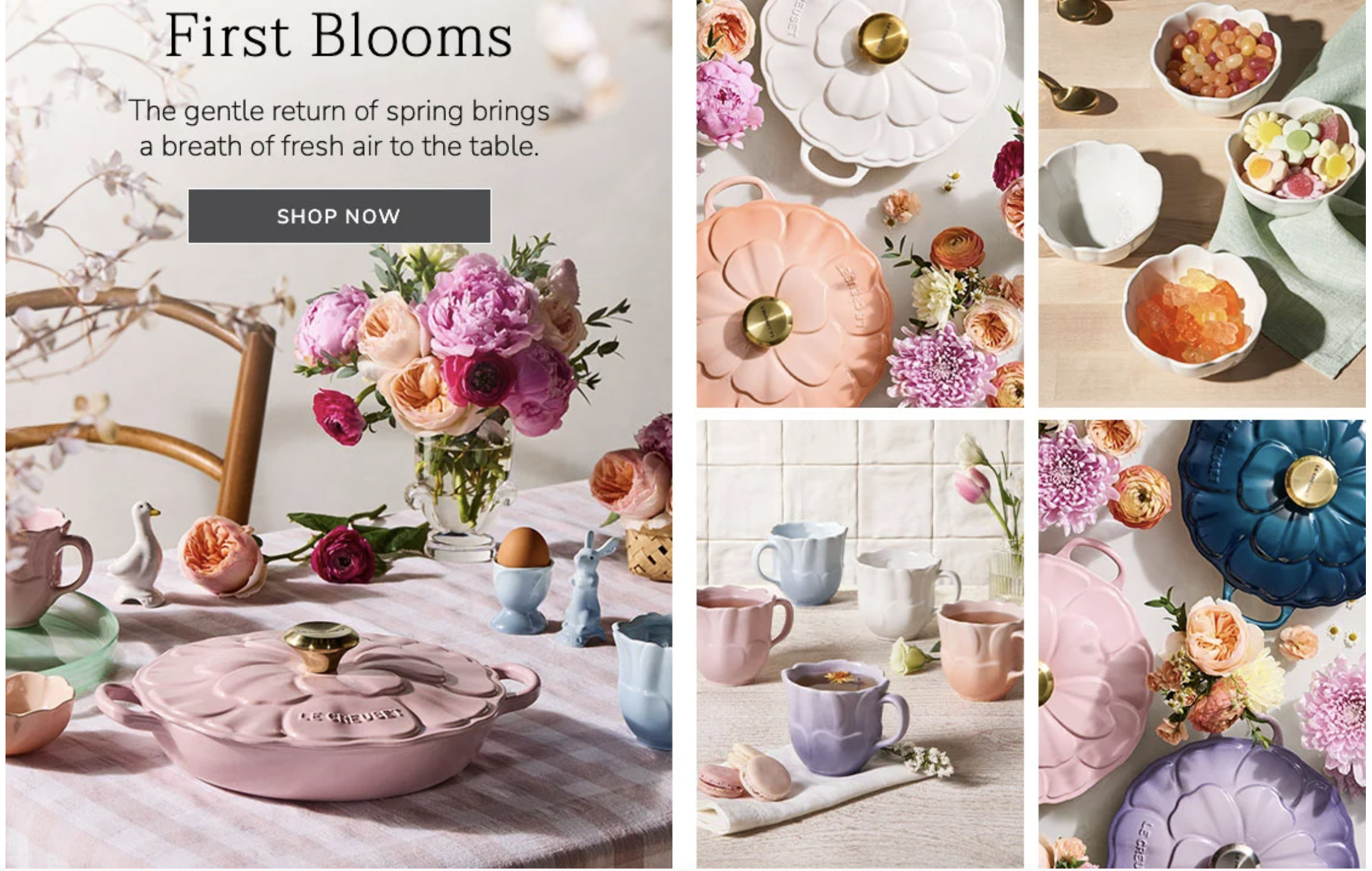 The Beauty of Life Through Cooking: Discover the Timeless Art of Le Creuset